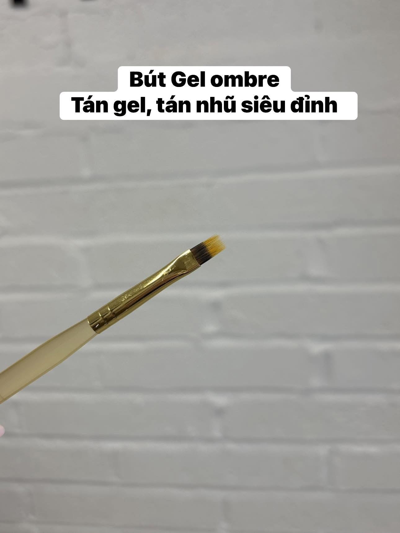 Ombré Gel Brush