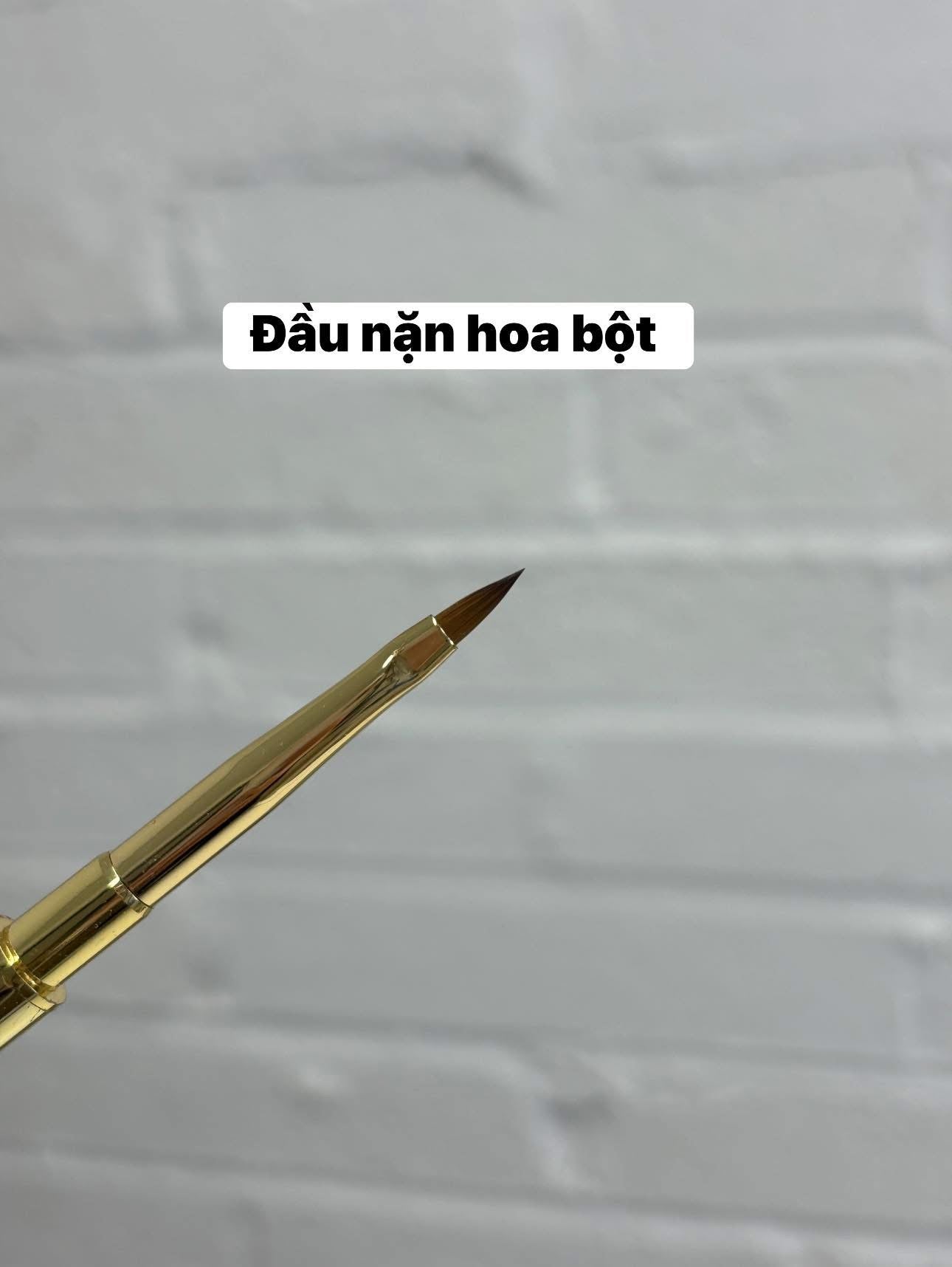 Dual Brush - French & 3D